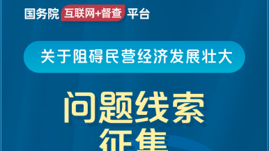 96xxx操逼国务院“互联网+督查”平台公开征集阻碍民营经济发展壮大问题线索